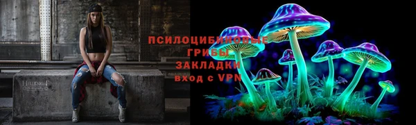 бошки Алзамай