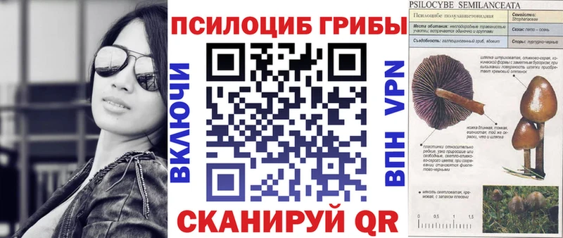 Псилоцибиновые грибы Psilocybe Большой Камень
